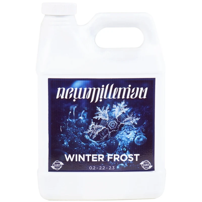 Winterfrost im neuen Jahrtausend