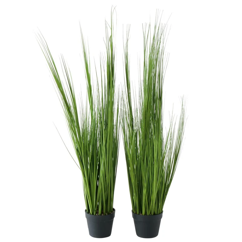 Boltze Gras im Topf 120cm sortiert (1 Stück)
