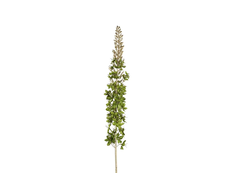 Decostar Dekozweig Eremurus grün 109cm