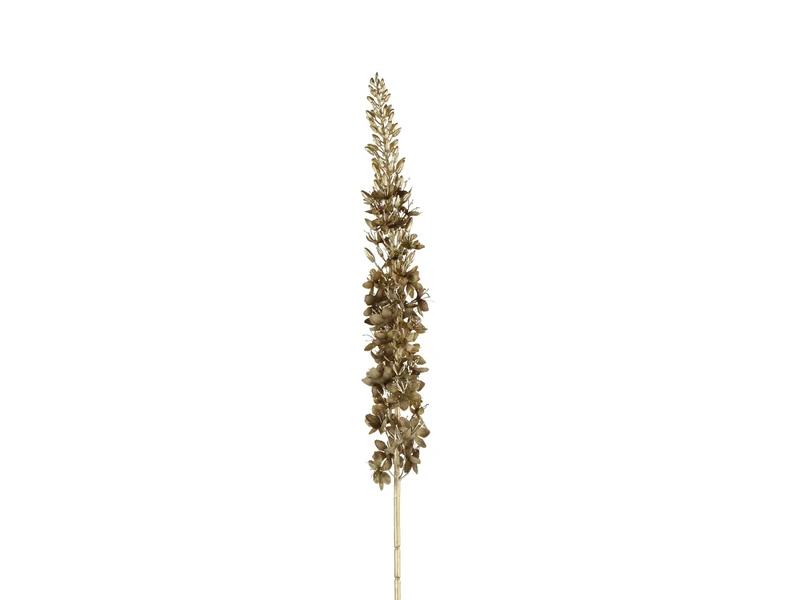Decostar Dekozweig Eremurus braun 109cm