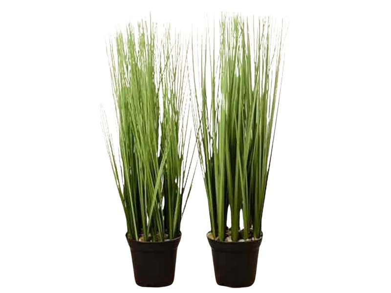 Boltze Gras im Topf sortiert 54 cm (1 Stück)
