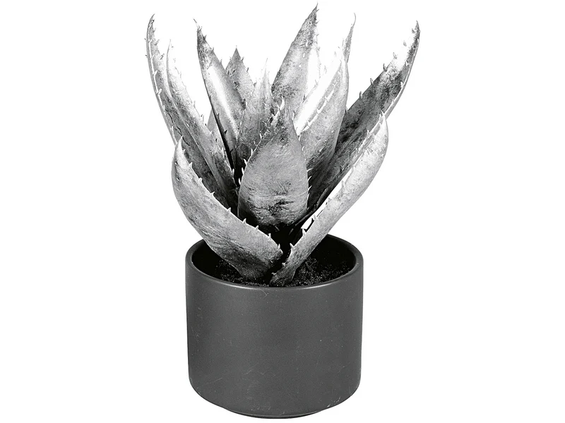 EK Agave im Keramiktopf 27 cm