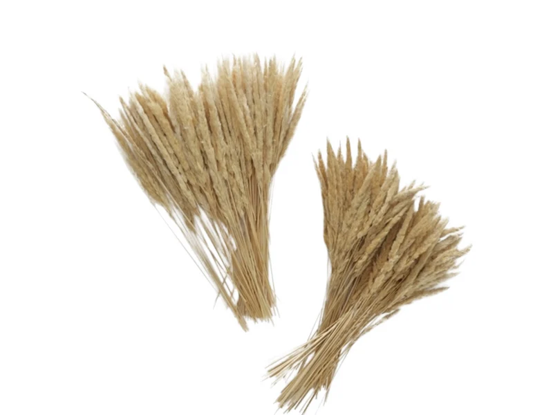 Boltze Granos Dekozweig natur ( 1 Stück )