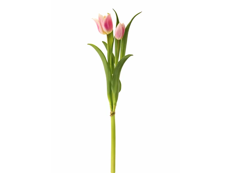 Exner Tulpenbund pink 40cm