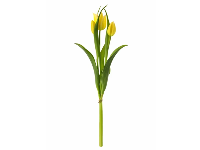 Exner Tulpenbund gelb 40cm
