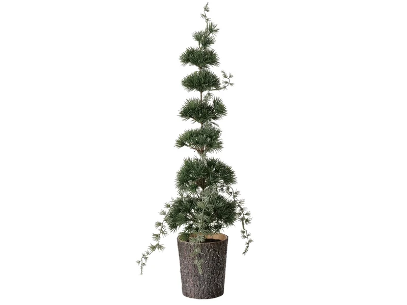Boltze Zeder Dekobaum grün 64cm (1 Stück)