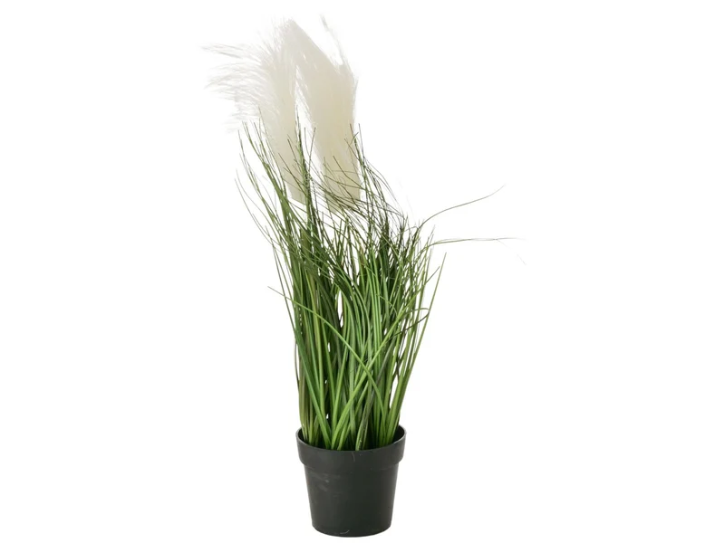 Boltze Topfpflanze Gras mehrfarbig sort. 46cm (1 Stück)